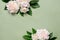 Peonies background with copy space