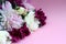 Peonies of bright and white flowers with open and closed buds