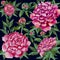 peonies flowers - pink peony, roses with green leaves painting