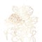 Peonies golden outline bouquet on white background.