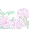 Peonies pink line art background