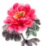 peony, Chinese traditional brush painting on rice paper, pink, purple