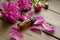 Peony essential oil. Among the flowers and petals of the peony lies a bottle of essential oil. A bottle of essential oil