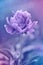 Peony floral background made with color filters in blue and purple tones