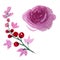Peony floral botanical flowers. Watercolor background illustration set. Isolated flower illustration element.