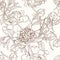 Peony flowers seamless pattern texture. Brown sepia outline on beige background.