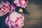 Peony Flowers Vintage