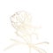 Peony golden outline on white background.