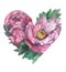 Peony heart. Love. Valentine`s day. Pink Flowers. Watercolor illustration.