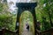 People across the Cuihong suspension bridge in Xitou Nature Education Area