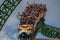 People amazing terrific Cheetah Hunt rollercoaster on lightblue cloudy sky background 55.