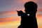 People, animals, pets, childhood concept. Silhouette of an owner and pet. Silhouette of young girl holding a cat, cropped shot.