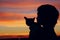 People, animals, pets, childhood concept. Silhouette of an owner and pet. Silhouette of young girl holding a cat, cropped shot.