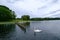 People in the background, Swans and other water fowl on Waterloo Lake, Roundhay Park