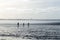 People in the backlight walk in the mudflats on the North Sea coast near Cuxhaven