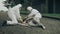 People in bacteriological protective suits running to help a woman