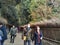 People at bamboo groove at arashiyama, 2016