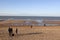 People on the beach, Belgium