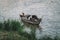 People in Boat on River Floating Village in Cambodia Asia. poor Cambodian family lives in boat on the water. Poverty in Southeast