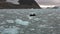 People in boat sail on background Moving Ice Floes of Arctic Ocean in Svalbard.