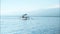 People on a boat sail behind the Stenellalongirostris family of dolphins that jump out of the water in the open, clear sea