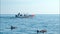 People on a boat sail behind the Stenellalongirostris family of dolphins that jump out of the water in the open, clear sea