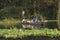 People on a boat trip at the river in Chitwan national park in Nepal to watch animals like crocodiles, birds and fishes