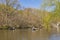 People boating in The lake at Central Park on nice weather day in New York