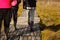 People in boots walk along a wooden path in a swamp in Yelnya, Belarus