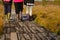 People in boots walk along a wooden path in a swamp in Yelnya, Belarus