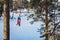 People in bright winter clothes are ice skating on a lake. Sunny day, pine forest, active lifestyle, cold weather