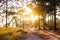 People carry bike along trail way with sunset in jungle