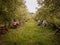 People chilling in summer picnic and park. Summer picnic background. Picnic table and bench.