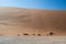 People Climbing Down Big Daddy Dune into Sossusvlei Salt Pan