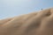 People climbing dune in the Namibia desert. Sossusvlei.