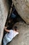 People climbing or trekking down from Pidurangala Rock