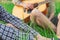 People company in nature with acoustic guitar incognito person without face in summer time bright clear weather day green grass