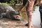 People with crocodile at the Tomb Mosque in bagerhat, Bangladesh