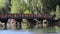 People Crossing River Bridge On Summer Day