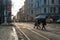 People crossing tram rails in Oslo, Norway