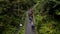 people crowed hikers walking by trail in forest