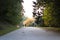 People cycling on a bicycling through a forest on a long road having fun. biker, biking, fall. landscape, healthy, fun, joy