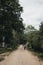 People cycling between tall trees on a gravel path inside New Forest, Dorset, UK