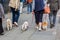 People with Dandie Dinmont Terrier in the city