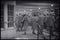 People on deck of ocean liner