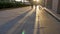 People and dog walk along pavement making long shadows