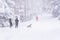 People with dog walking on a city street covered in snow during heavy snowfall storm in Madrid