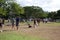 People and dogs walk across field at Ala Moana Beach Park