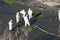 People doing environmental maintenance work in La Marjal Park, Alicante, Spain