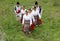 People dressed with traditional Bulgarian authentic folklore clothes